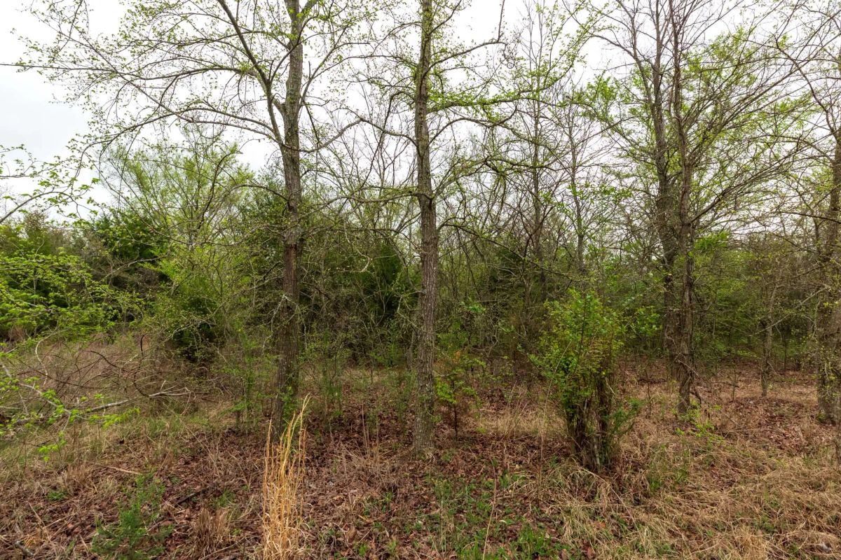 Decorative background for Moonrise Meadows Tract 11 image 12