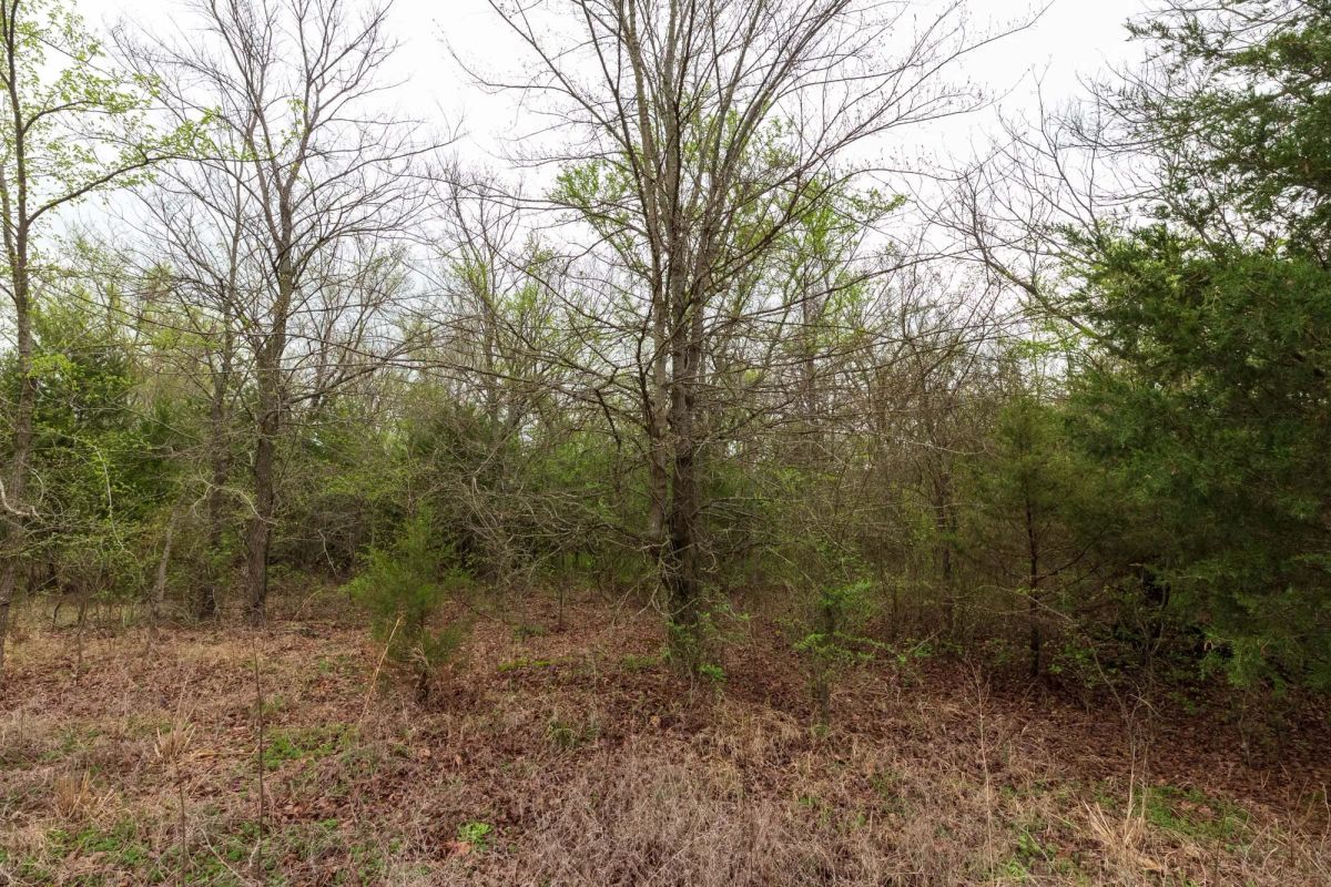 Decorative background for Moonrise Meadows Tract 11 image 13