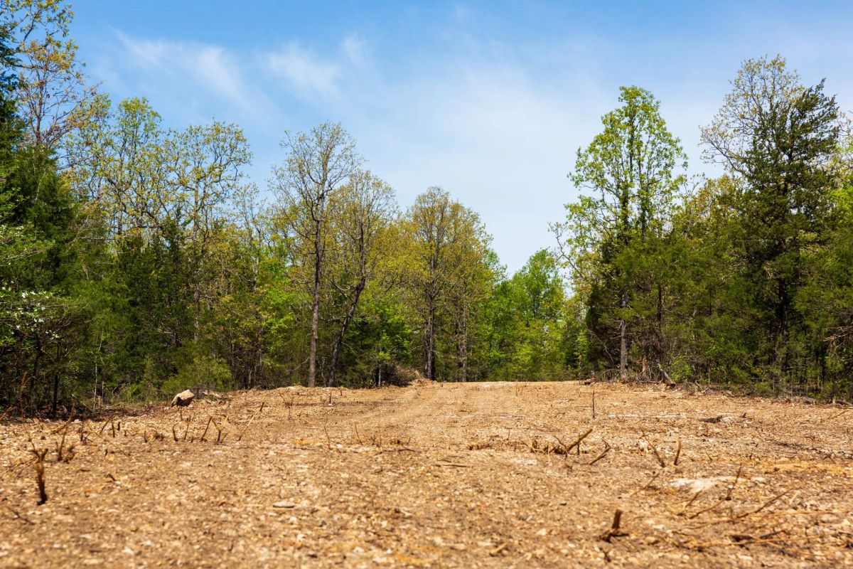 Autumnwood Tract 3 - Main image