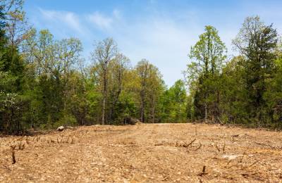 Autumnwood Tract 3
