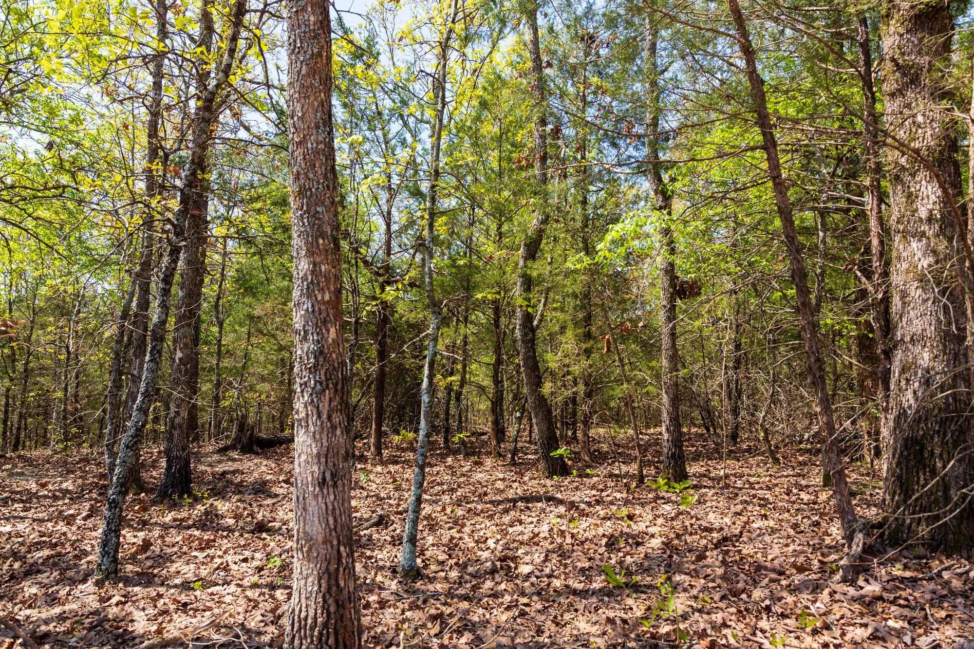 Autumnwood Tract 3 in Fulton County, AR