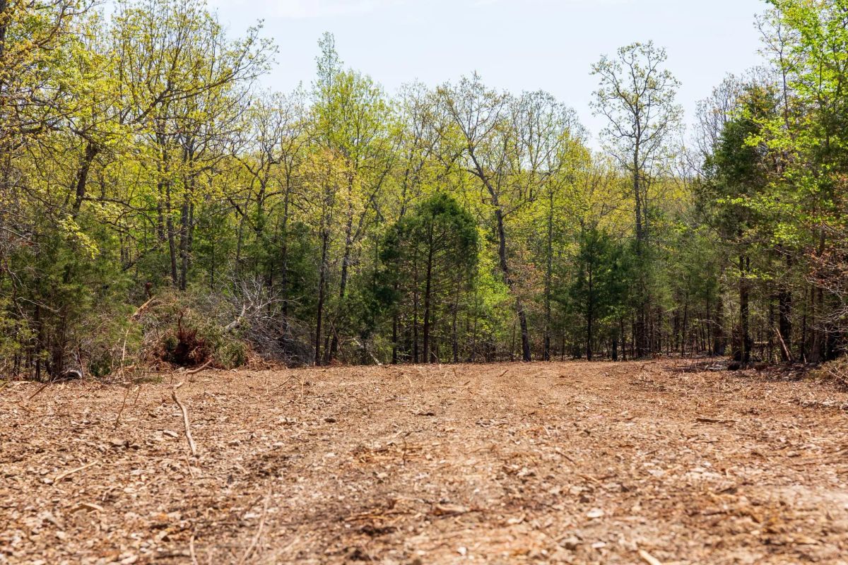 Decorative background for Autumnwood Tract 3 image 8