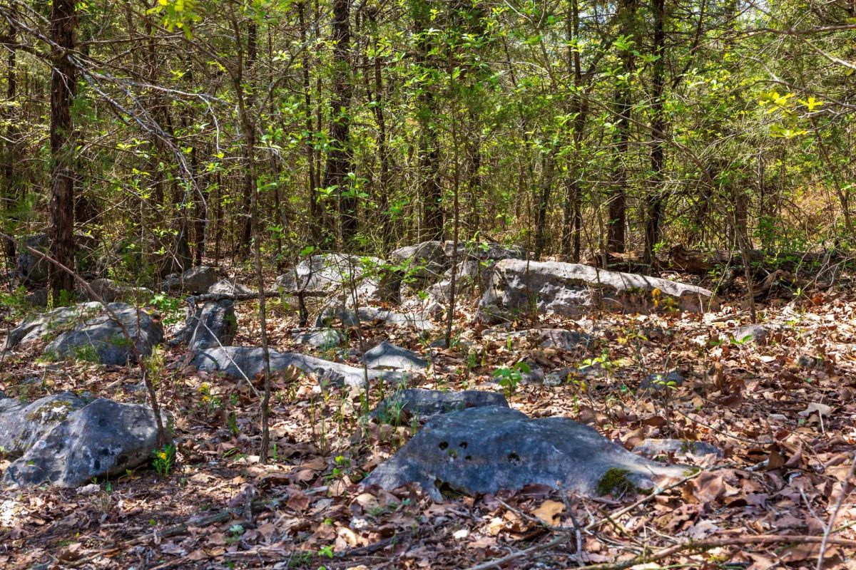 Decorative background for Autumnwood Tract 3 image 15