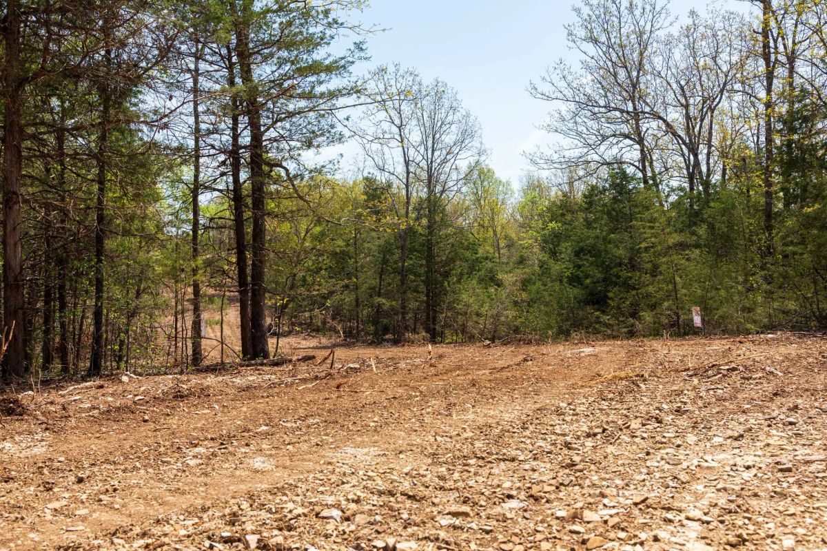Decorative background for Autumnwood Tract 3 image 16