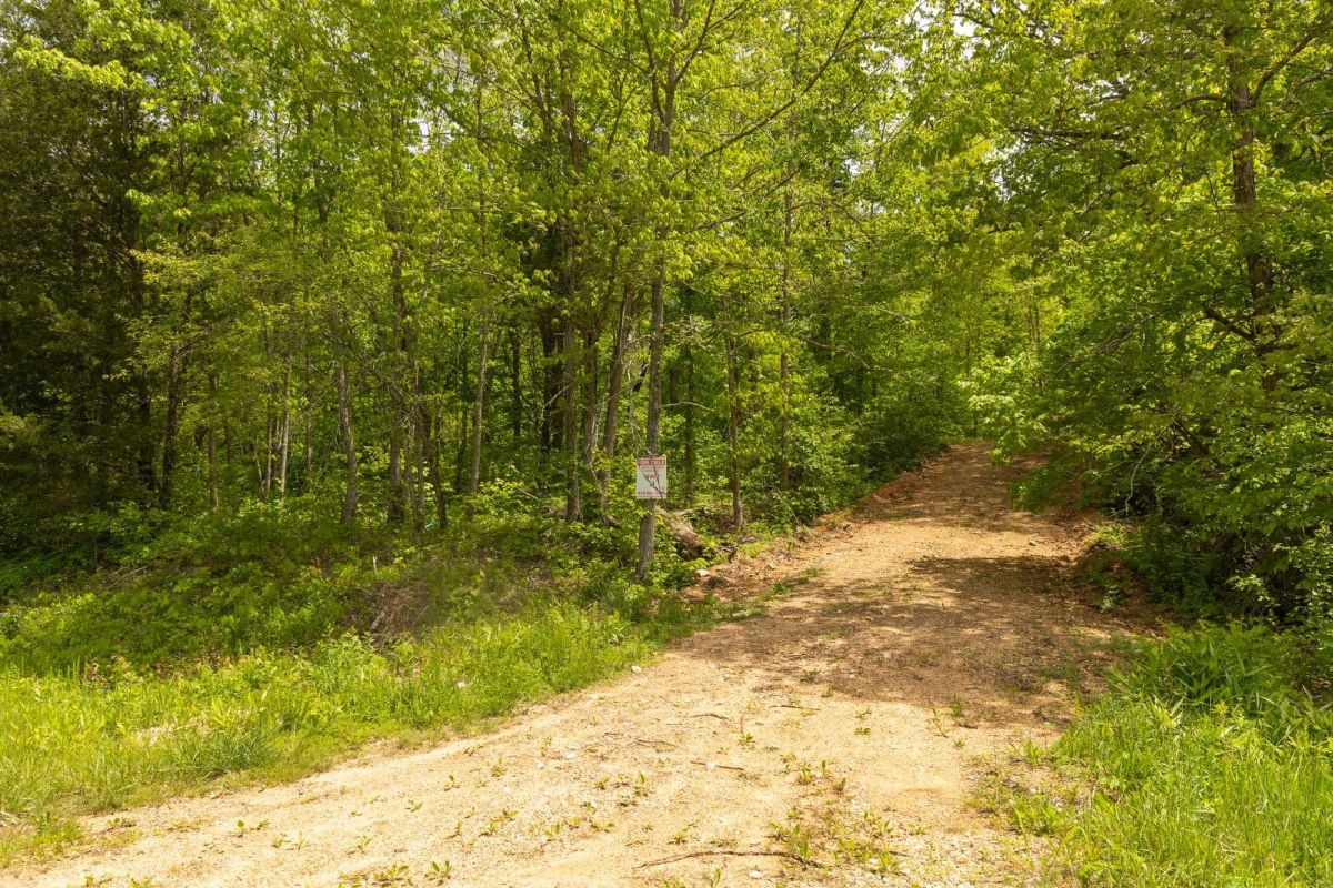 Decorative background for Stardust Estates Tract 14 image 6
