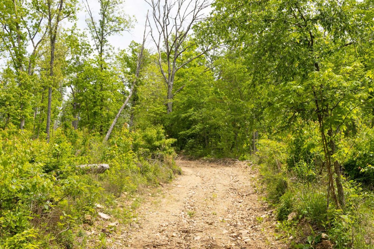 Decorative background for Stardust Estates Tract 14 image 9
