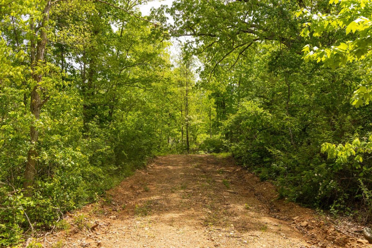 Decorative background for Stardust Estates Tract 14 image 13
