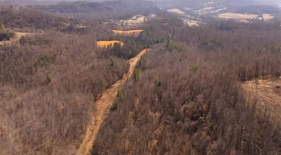 Jade Pass Tract 9 in Whitley County, KY