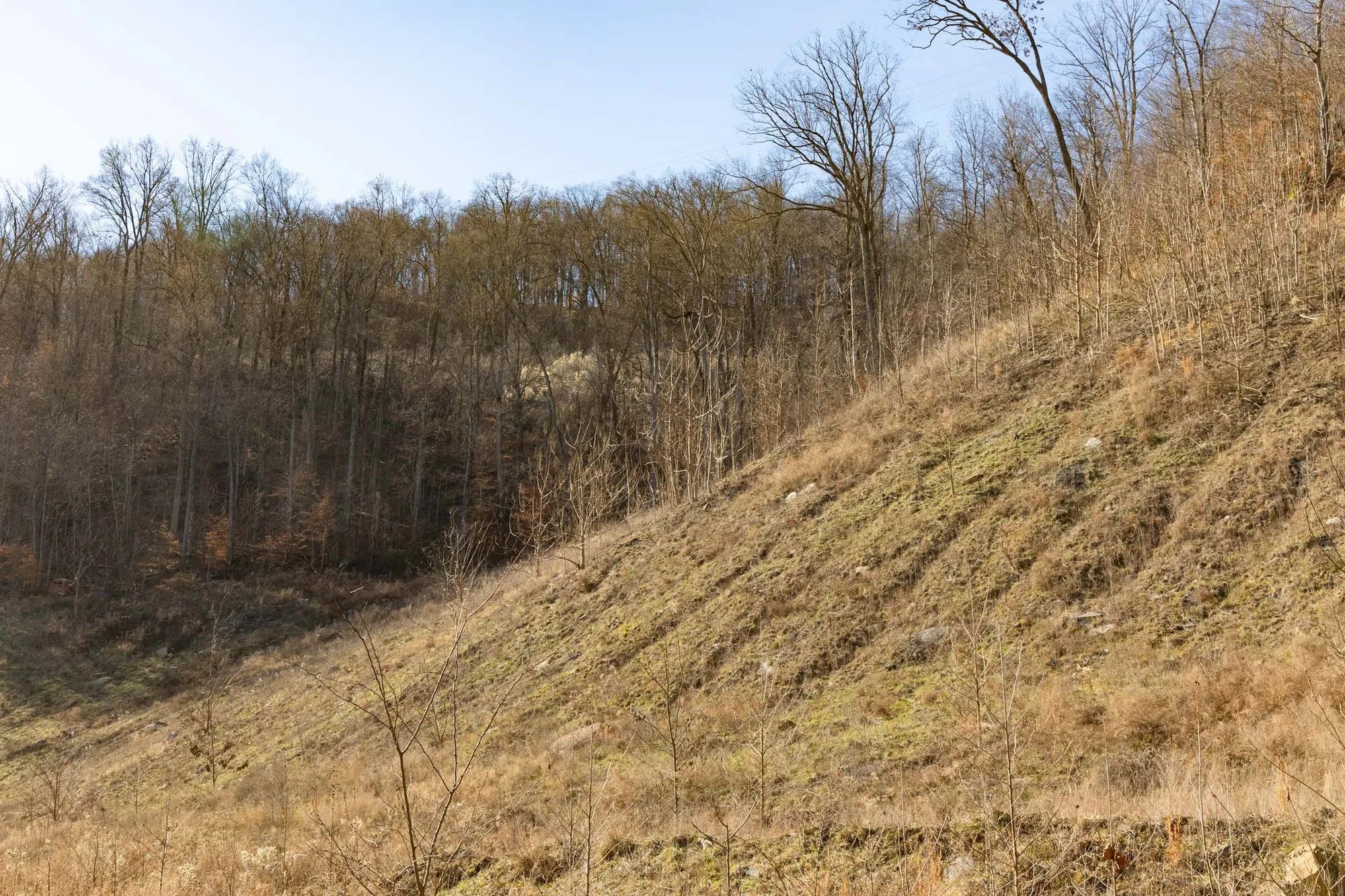 Jade Pass Tract 9 in Whitley County, KY
