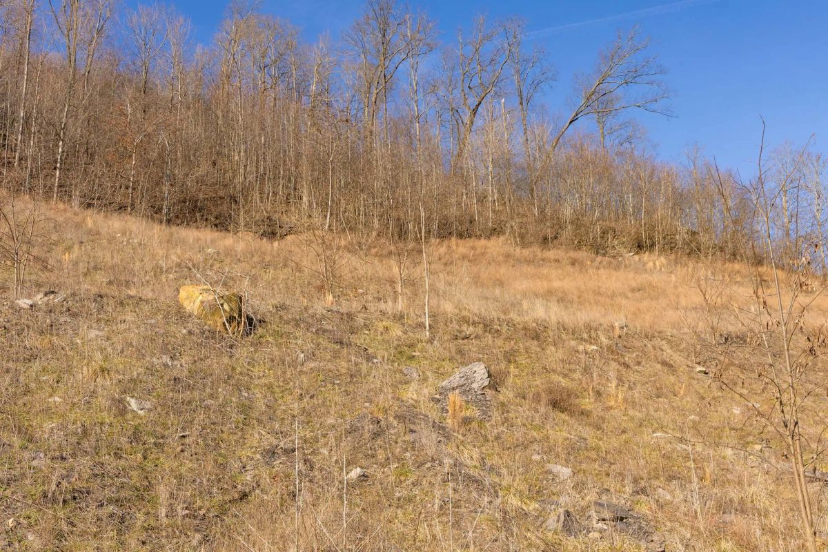 Decorative background for Jade Pass Tract 9 image 6