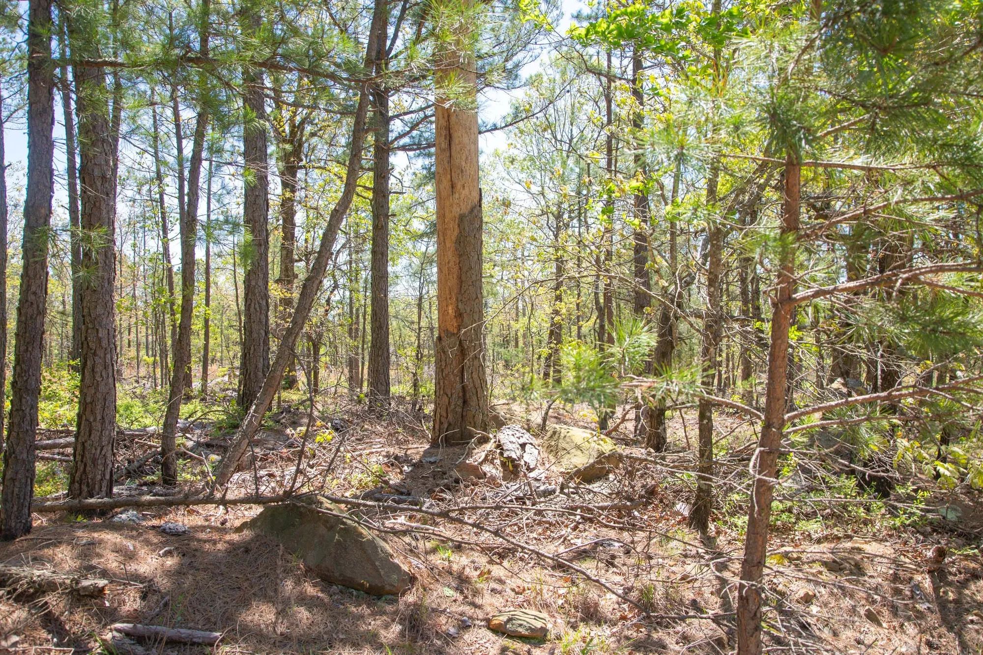 Eagle’s Nest Tract 10 in Pushmataha County, OK