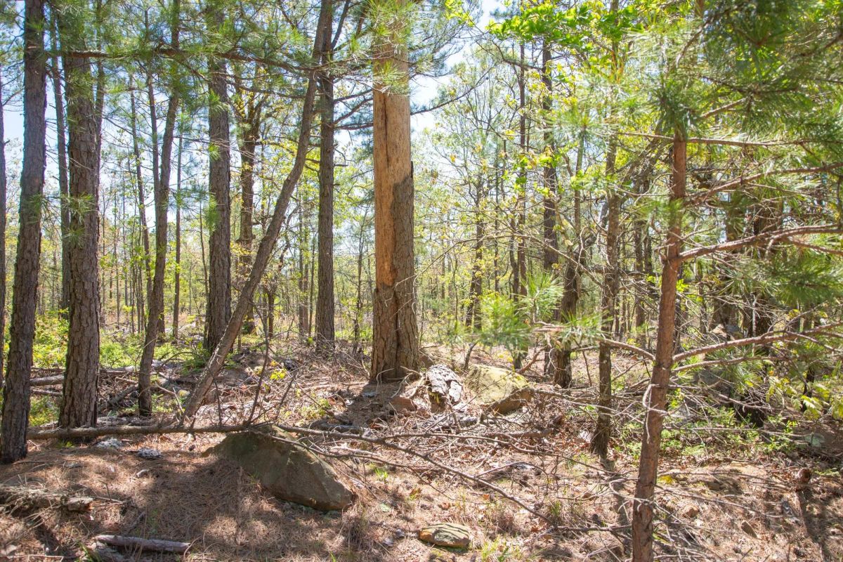 Eagle’s Nest Tract 10 - Image 3