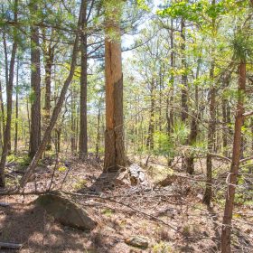Eagle’s Nest Tract 10 in Pushmataha County, OK