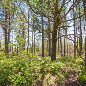 Eagle’s Nest Tract 10 in Pushmataha County, OK