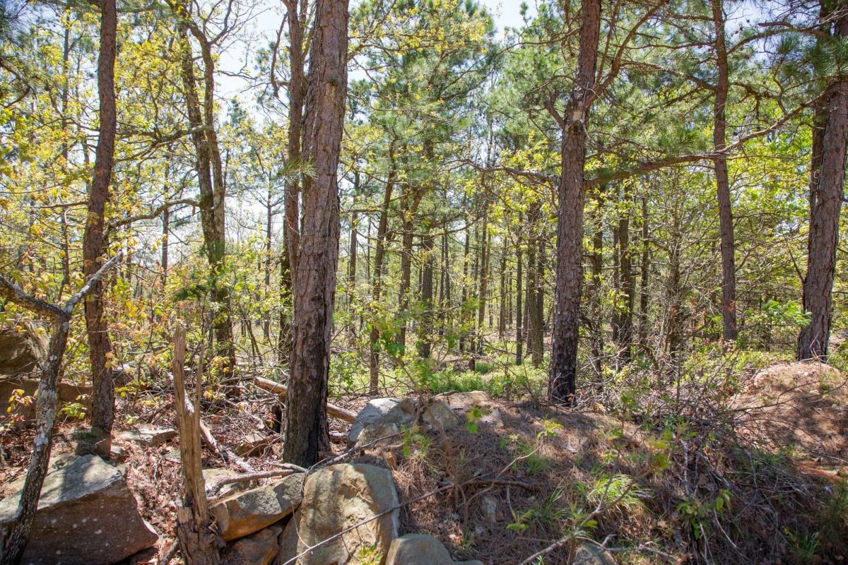 Decorative background for Eagle’s Nest Tract 10 image 5