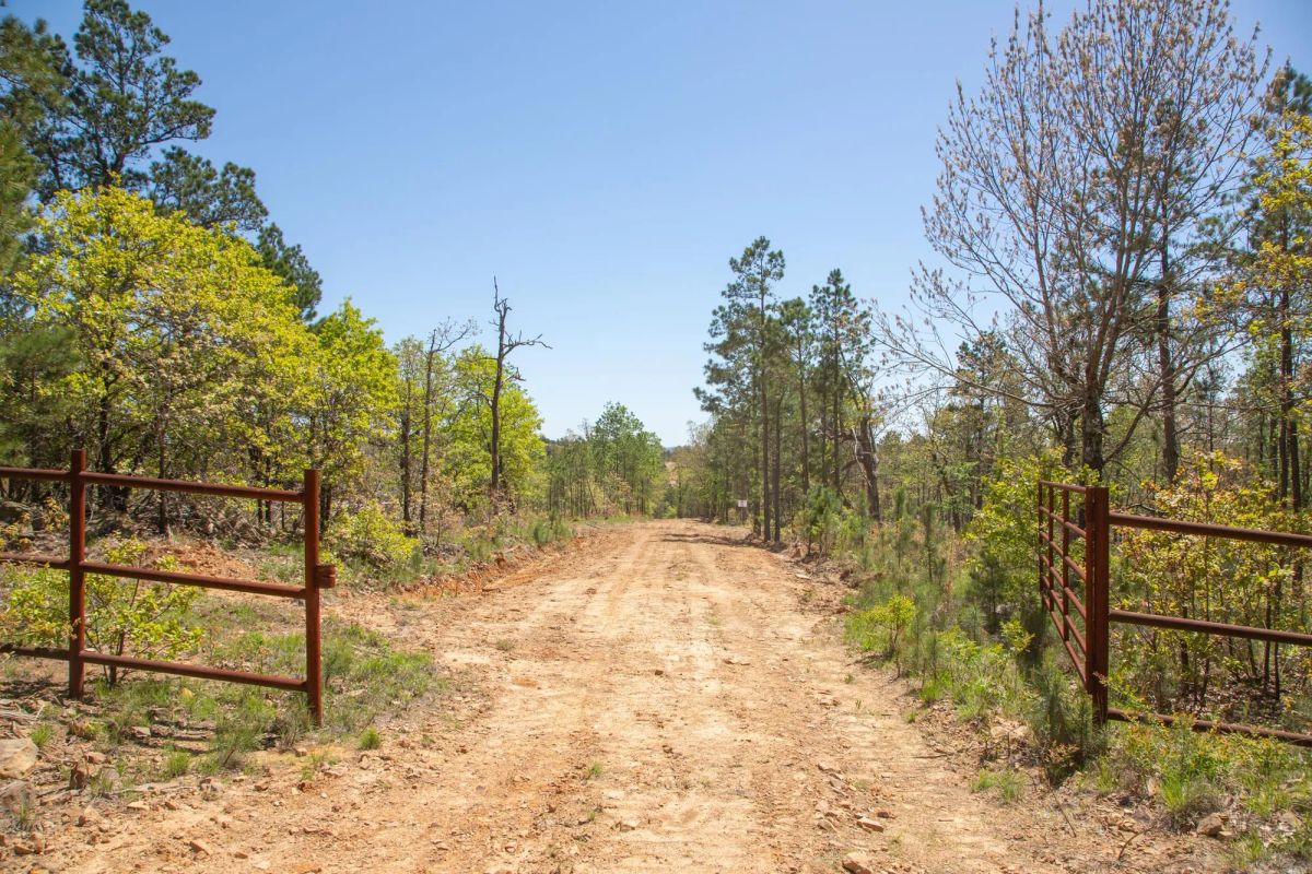 Decorative background for Eagle’s Nest Tract 10 image 6
