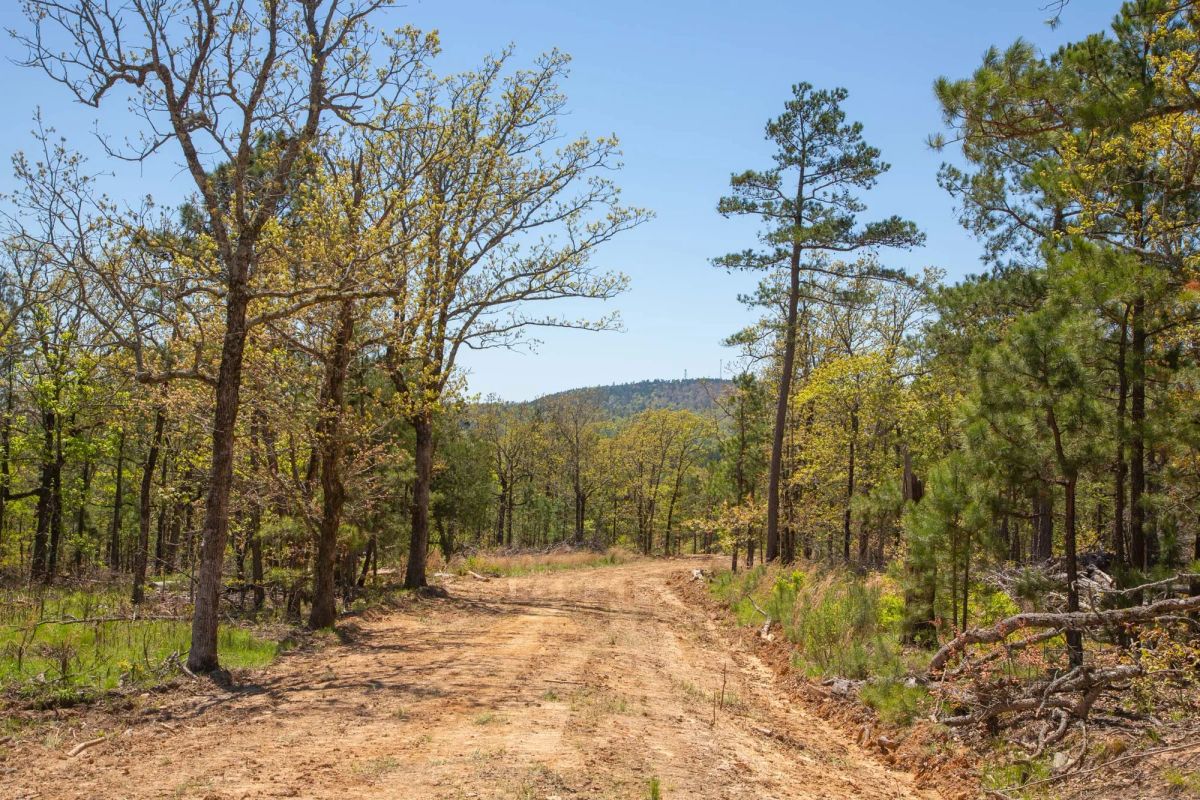 Decorative background for Eagle’s Nest Tract 10 image 11