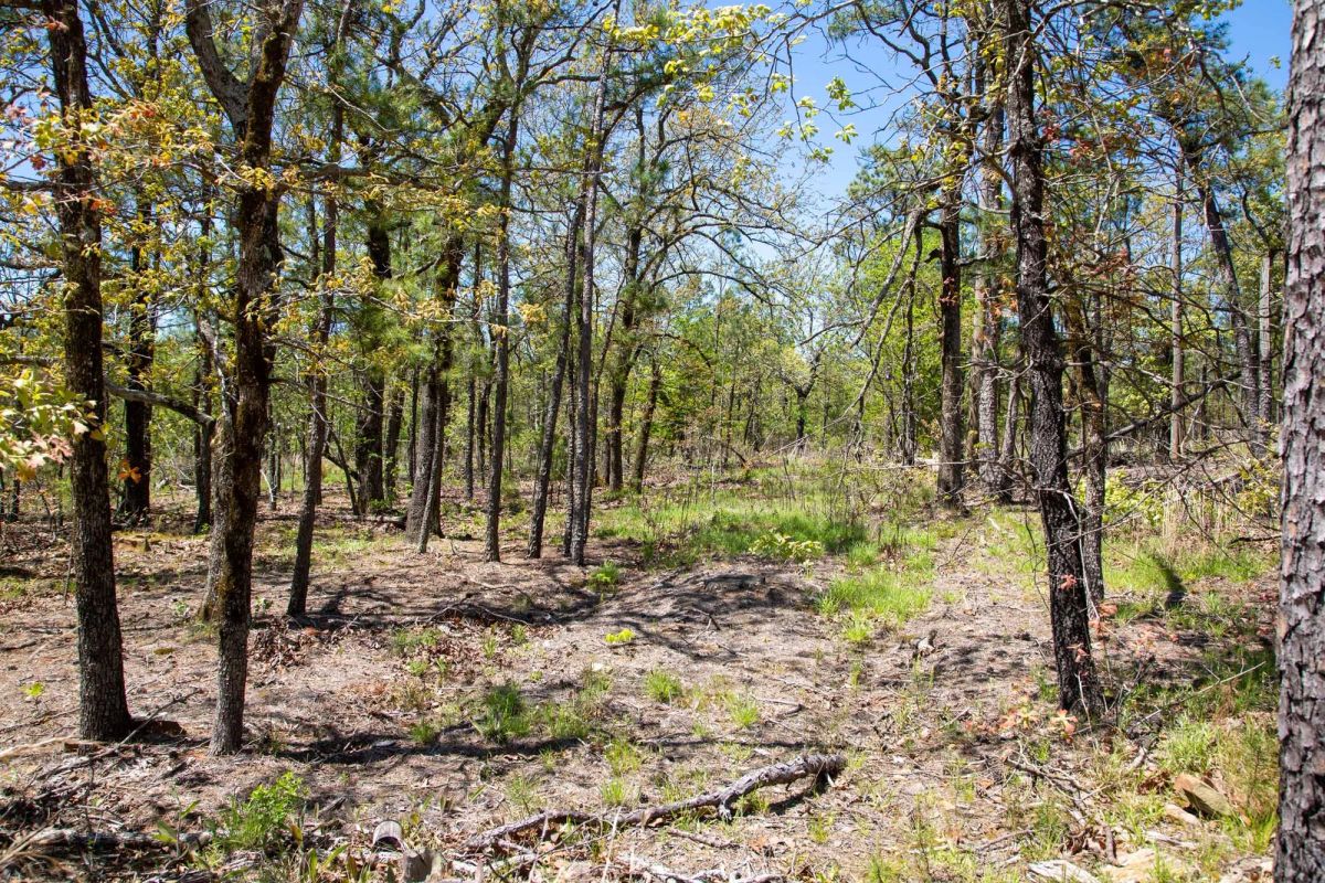Decorative background for Eagle’s Nest Tract 10 image 14