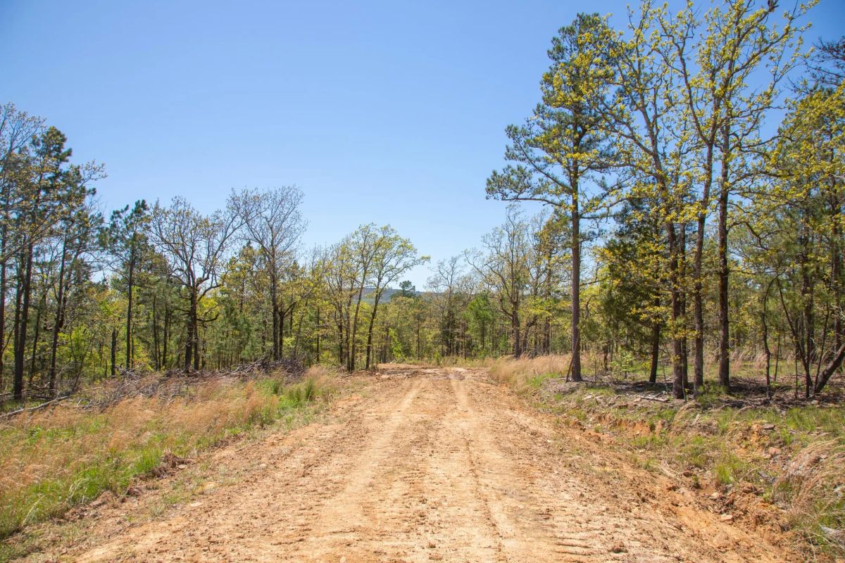 Decorative background for Eagle’s Nest Tract 10 image 15