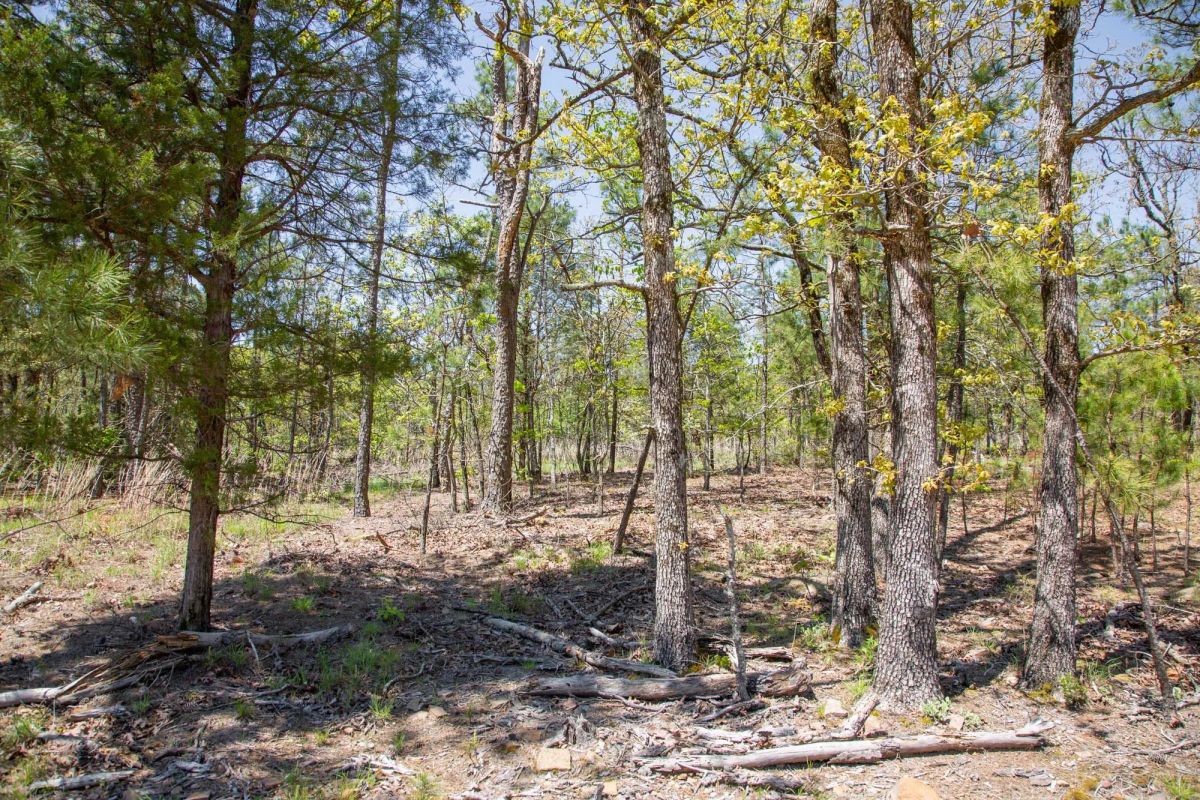 Decorative background for Eagle’s Nest Tract 10 image 16