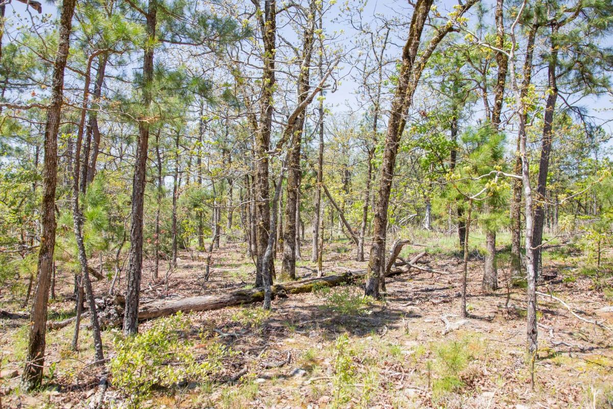 Decorative background for Eagle’s Nest Tract 10 image 18