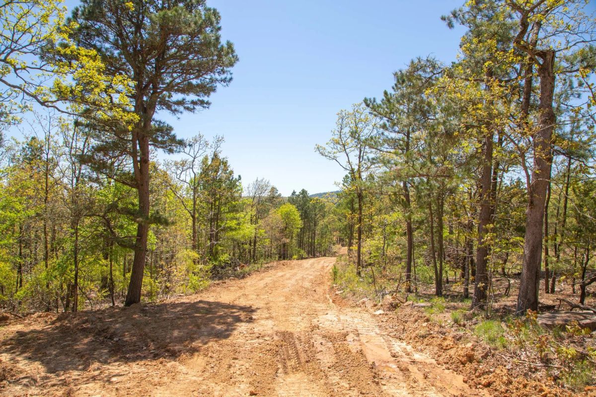 Decorative background for Eagle’s Nest Tract 10 image 19