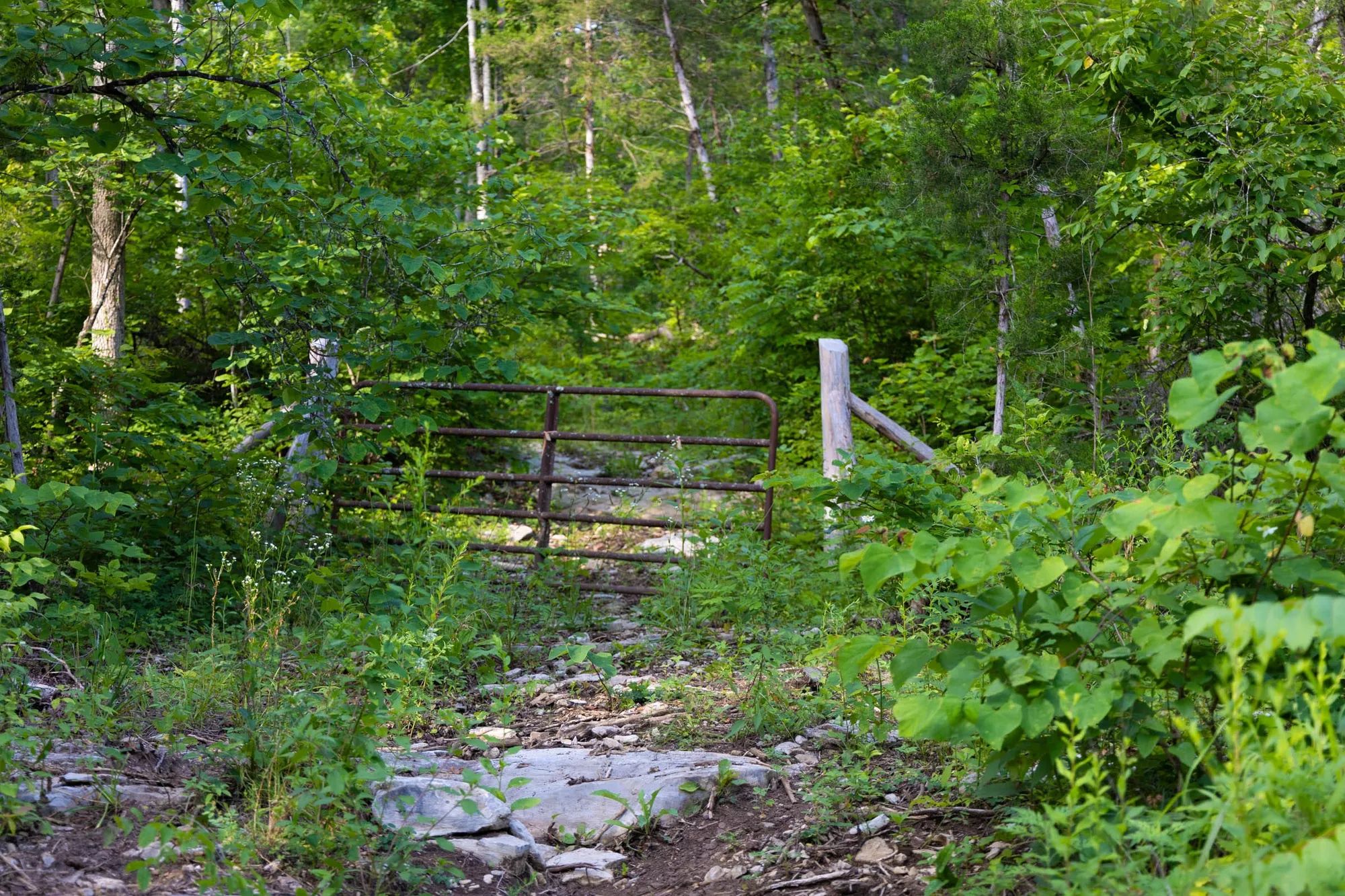 Poppy’s Point Tract 4 in Wayne County, KY