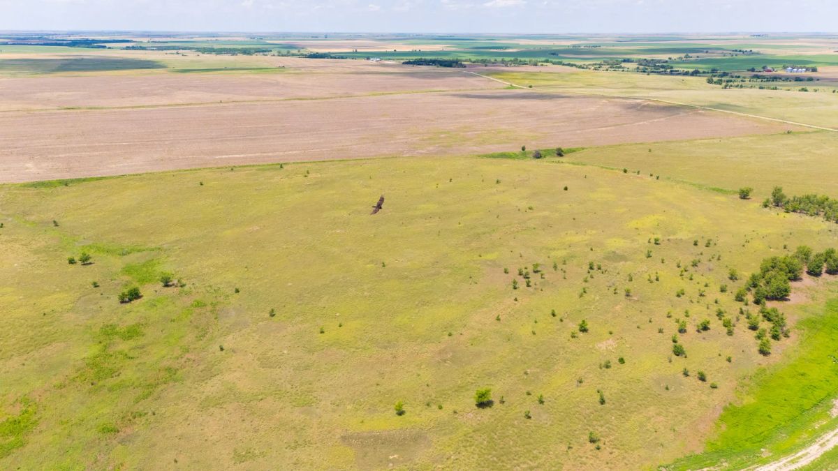 Crandall's Corner Tract 10 - Main image