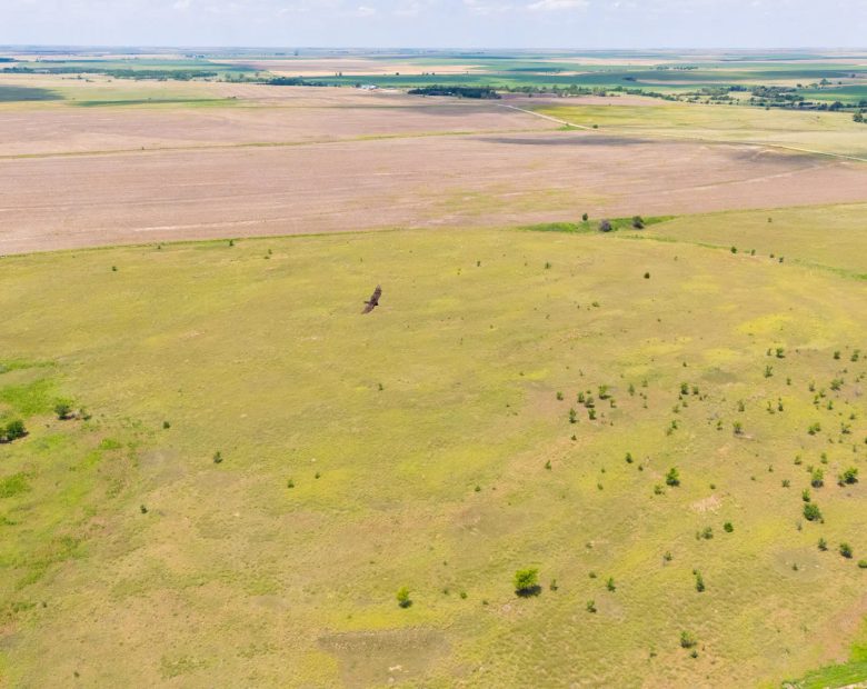 Crandall's Corner Tract 10 in Graham County, KS