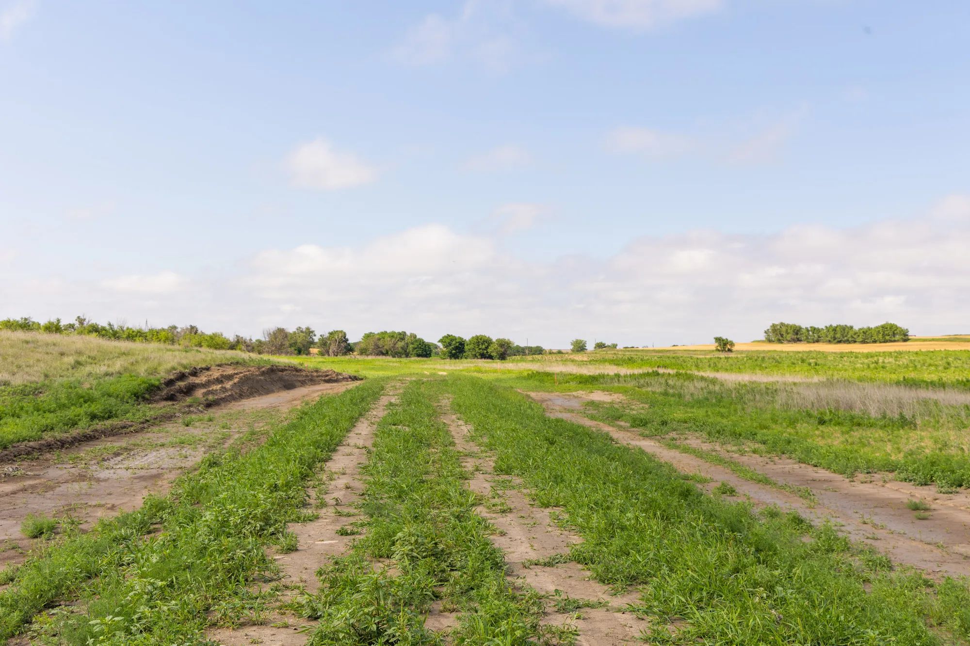Crandall's Corner Tract 10 in Graham County, KS