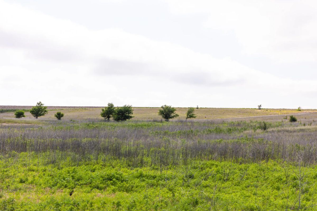 Crandall's Corner Tract 10 - Image 3