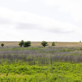Crandall's Corner Tract 10 in Graham County, KS