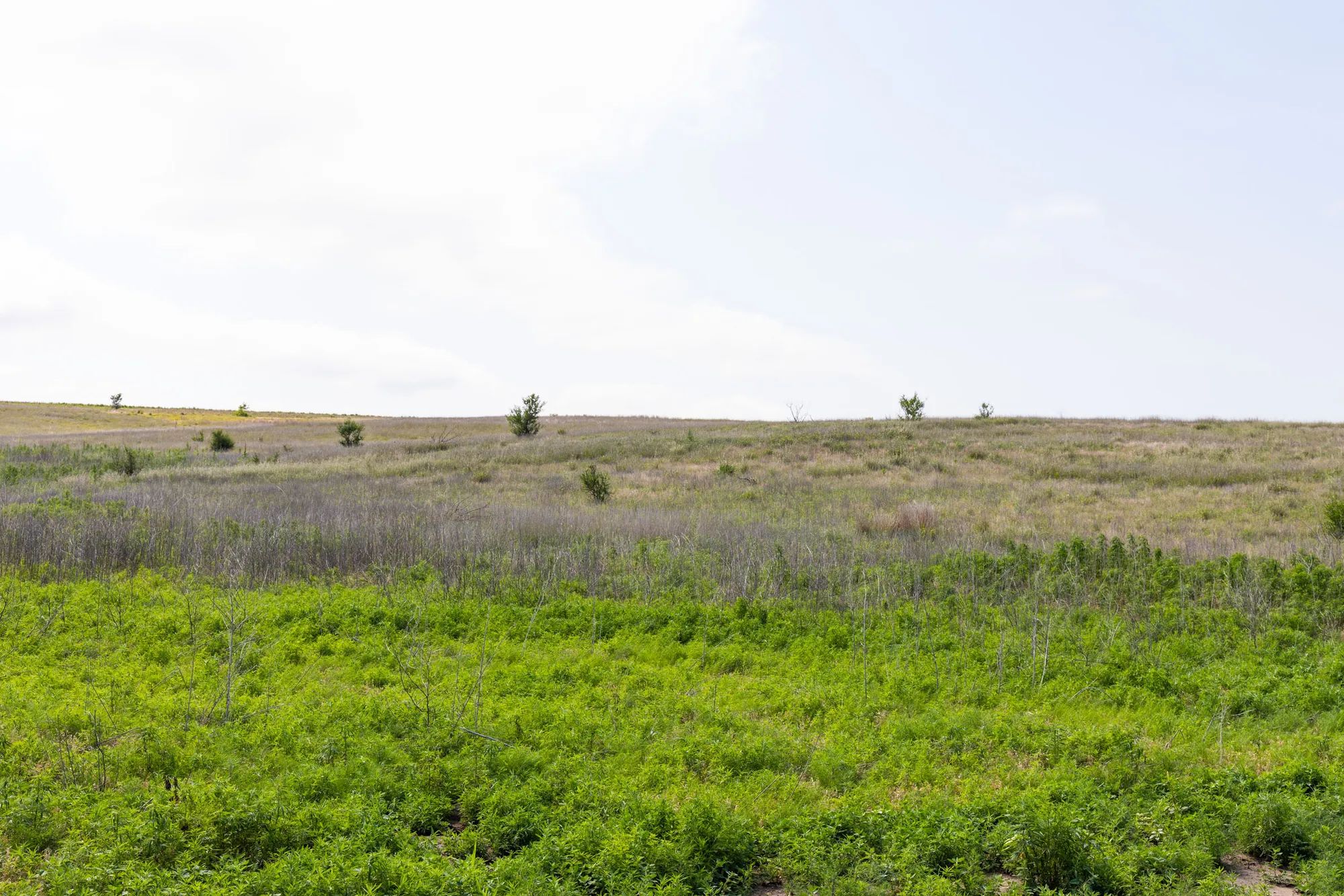 Crandall's Corner Tract 10 in Graham County, KS