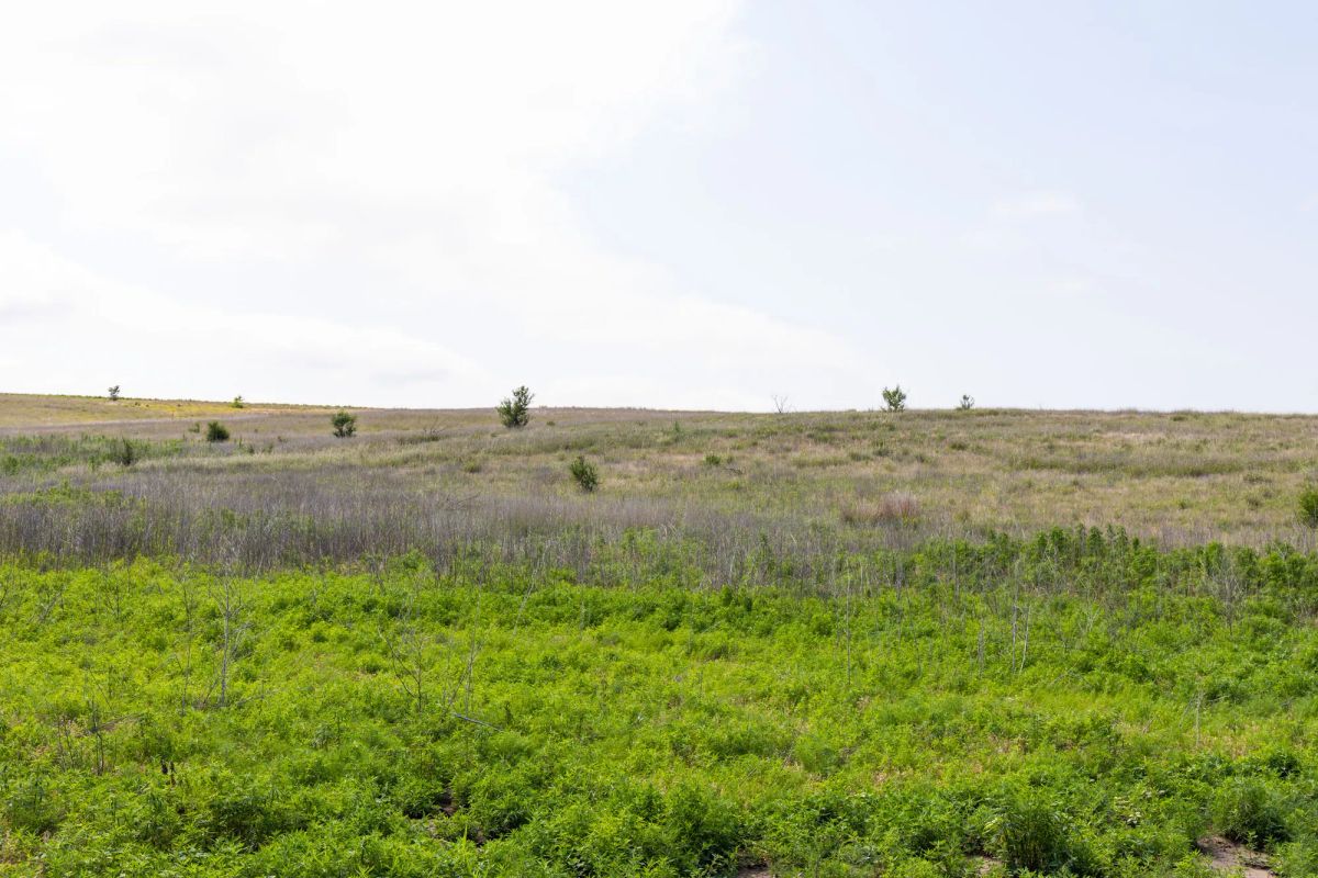 Crandall's Corner Tract 10 - Image 4