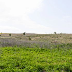 Crandall's Corner Tract 10 in Graham County, KS
