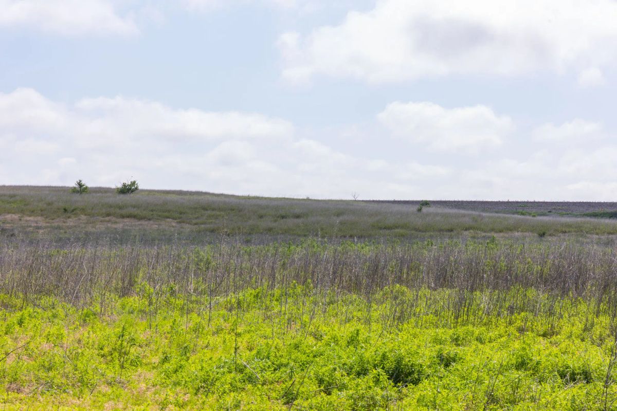 Decorative background for Crandall's Corner Tract 10 image 6