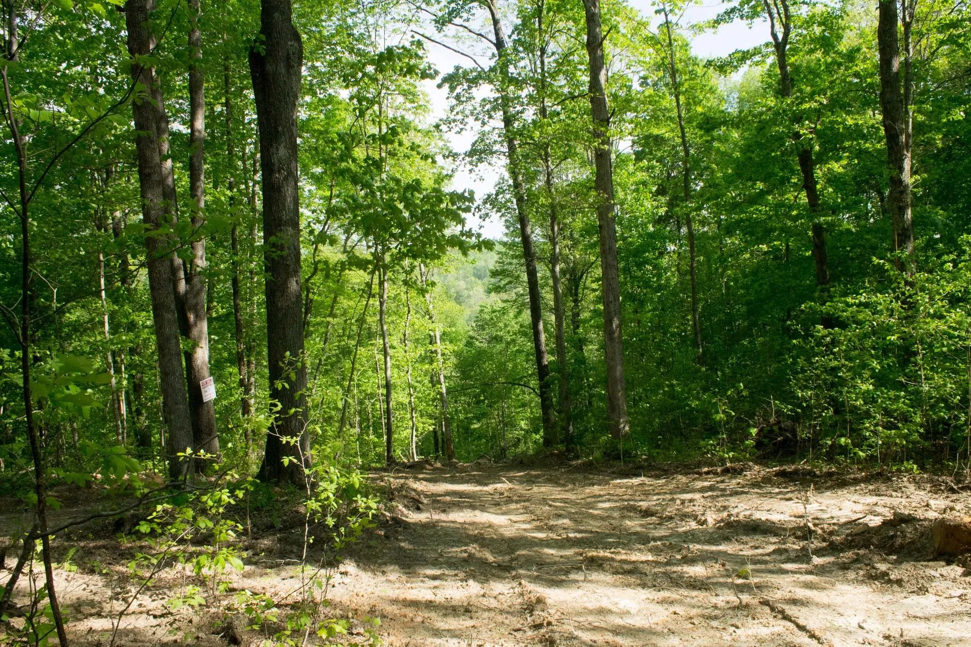 Trails End Tract 20 in Rockcastle County, KY
