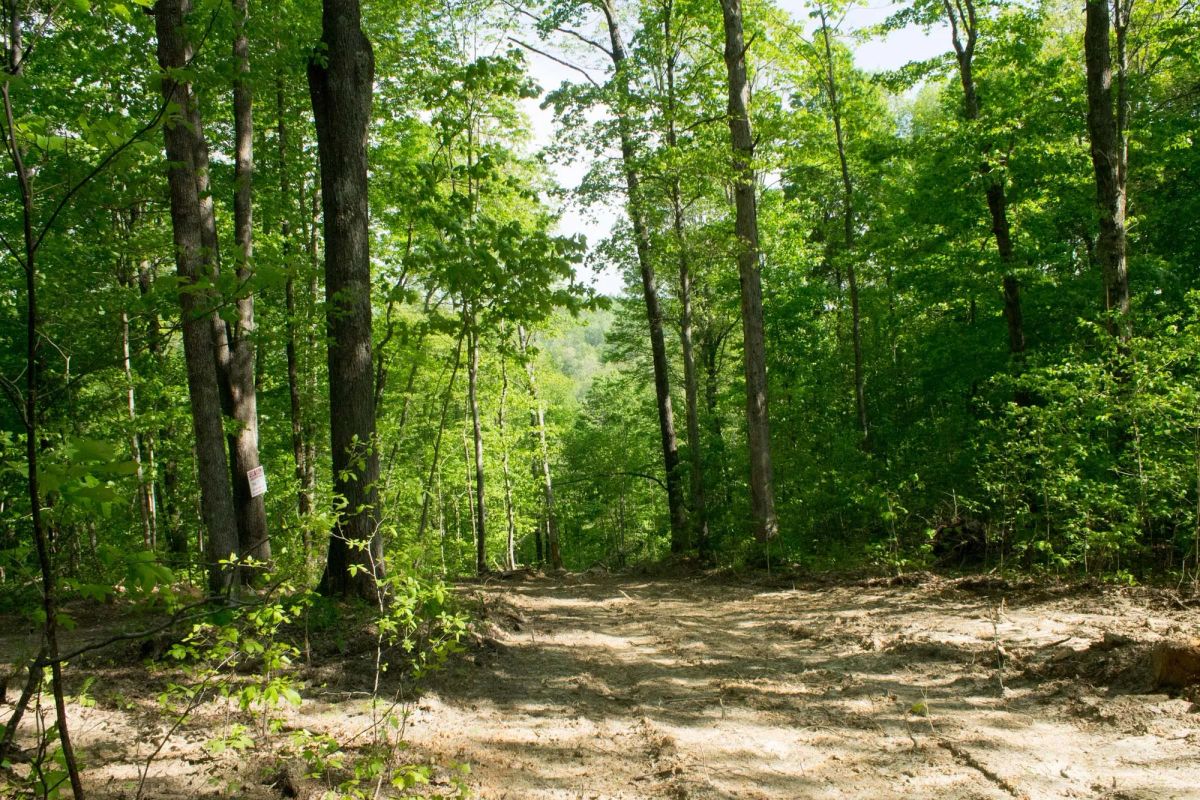 Trails End Tract 20 - Image 2