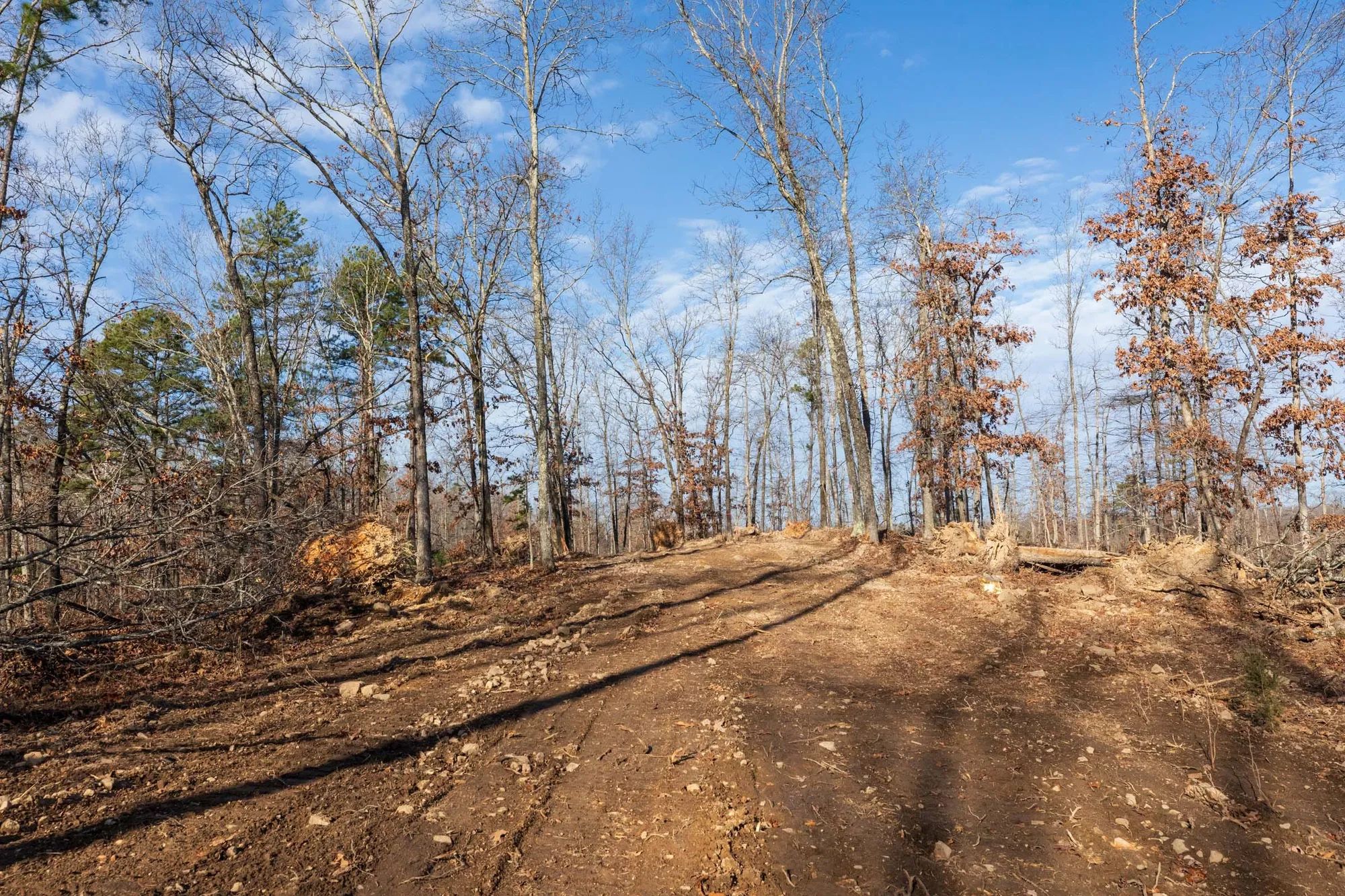 Cypress Ridge Tract 39 in Reynolds County, MO