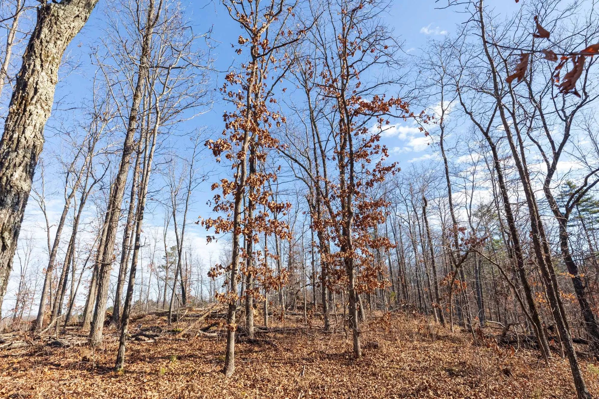 Cypress Ridge Tract 39 in Reynolds County, MO