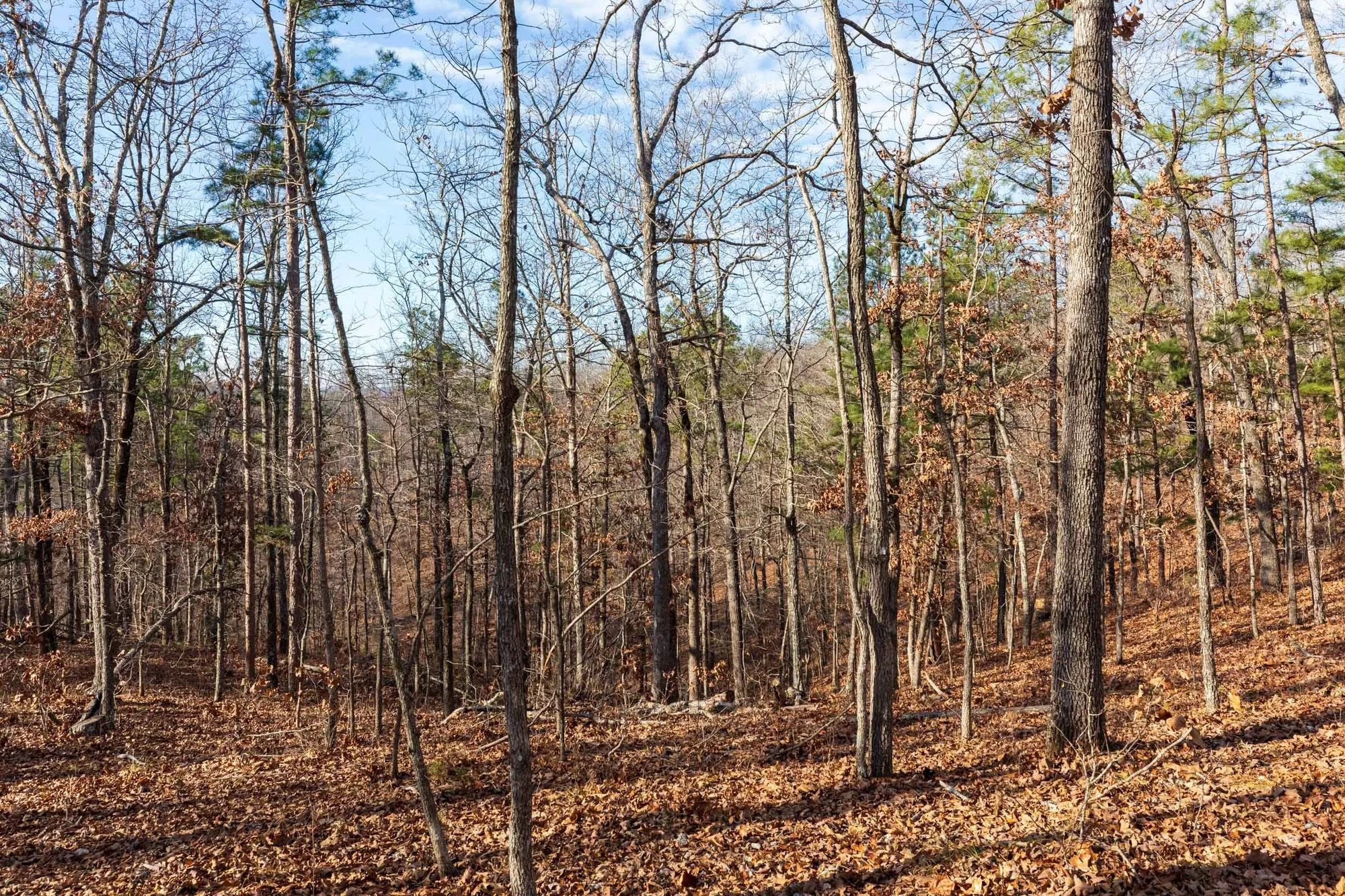Cypress Ridge Tract 39 in Reynolds County, MO