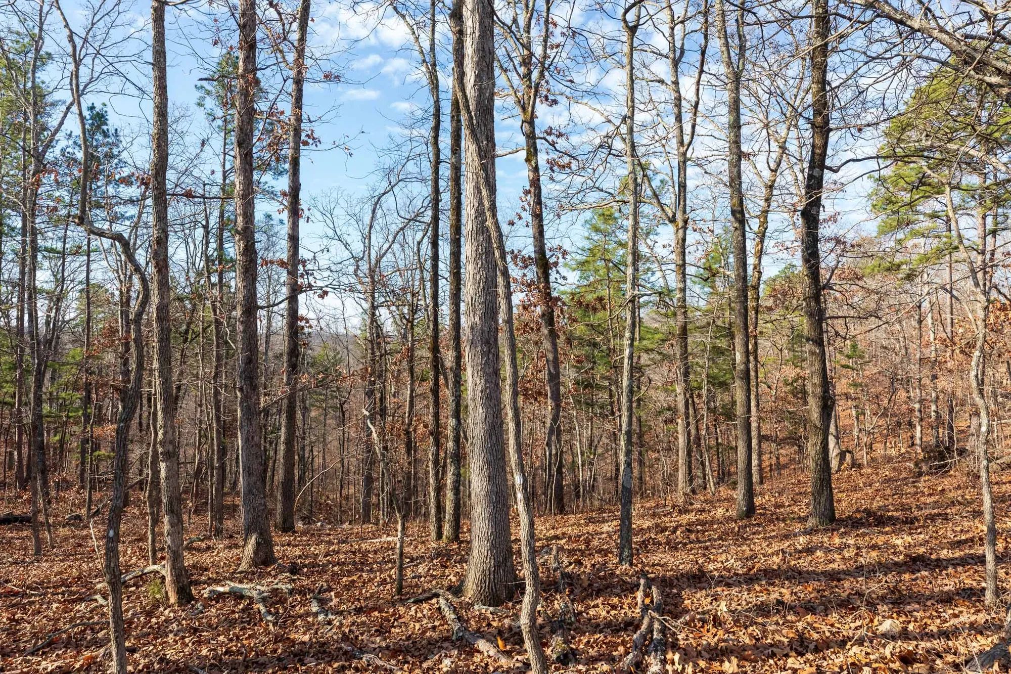 Cypress Ridge Tract 39 in Reynolds County, MO