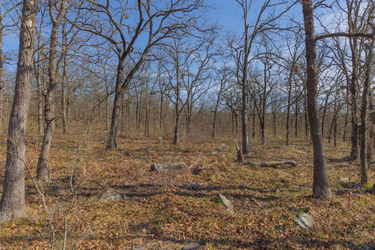 JLH Estates Tract 20 - Main image