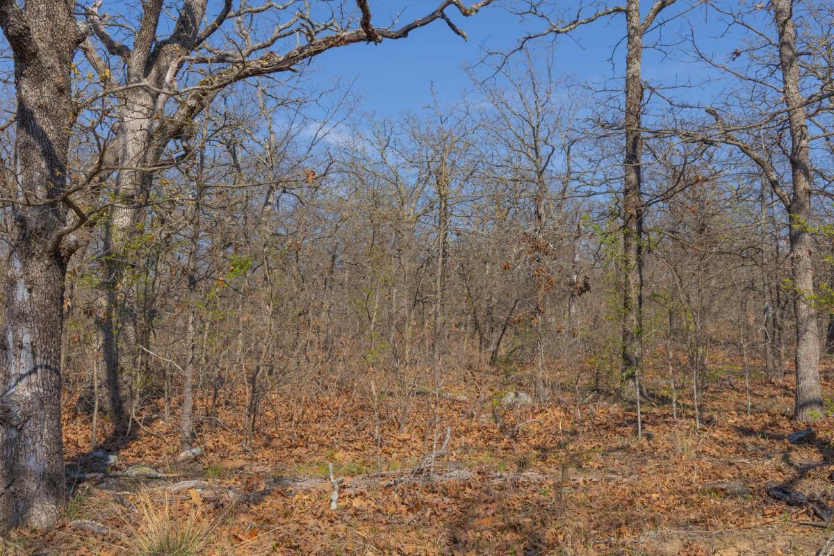 Decorative background for JLH Estates Tract 20 image 6