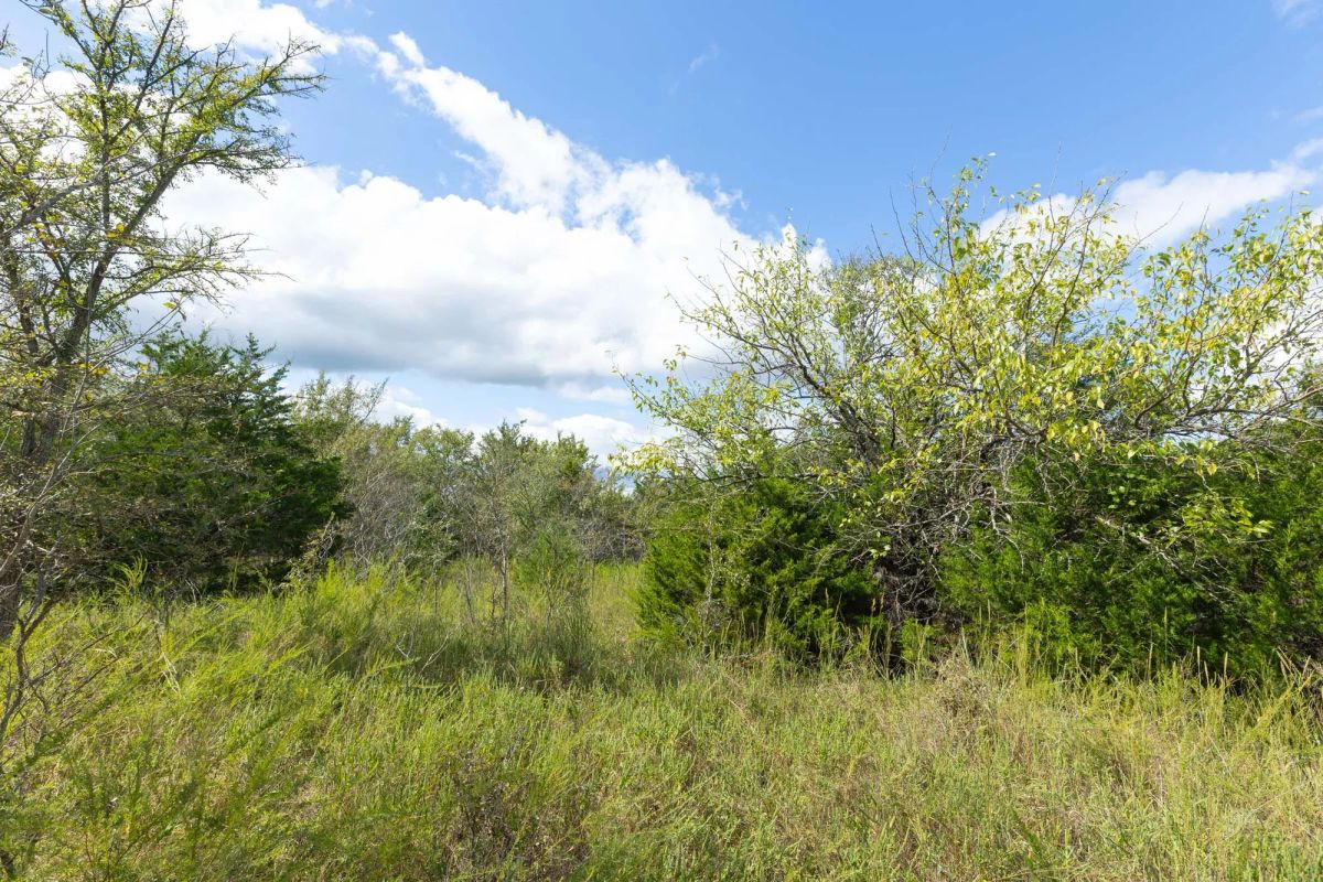 Reserves At Cattail Cove Phase II Tract 93 - Image 3