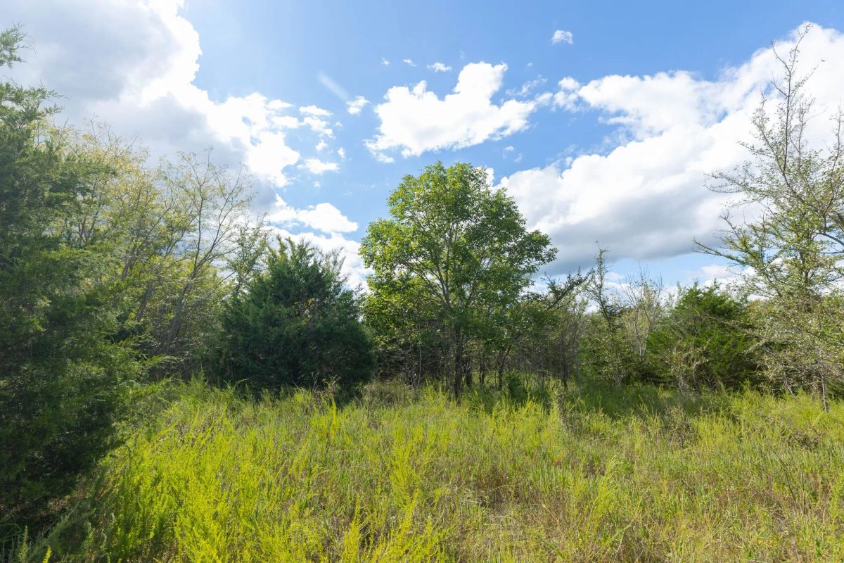 Decorative background for Reserves At Cattail Cove Phase II Tract 93 image 5