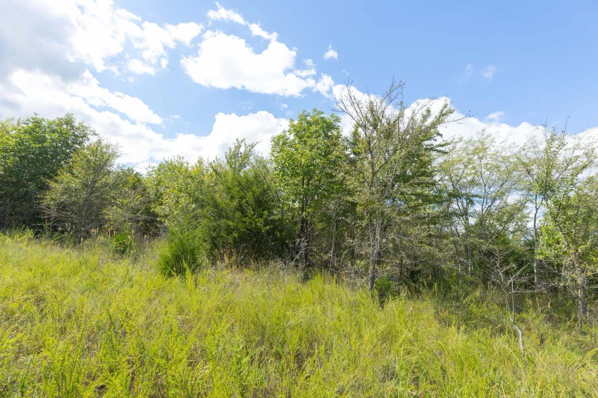 Decorative background for Reserves At Cattail Cove Phase II Tract 93 image 6