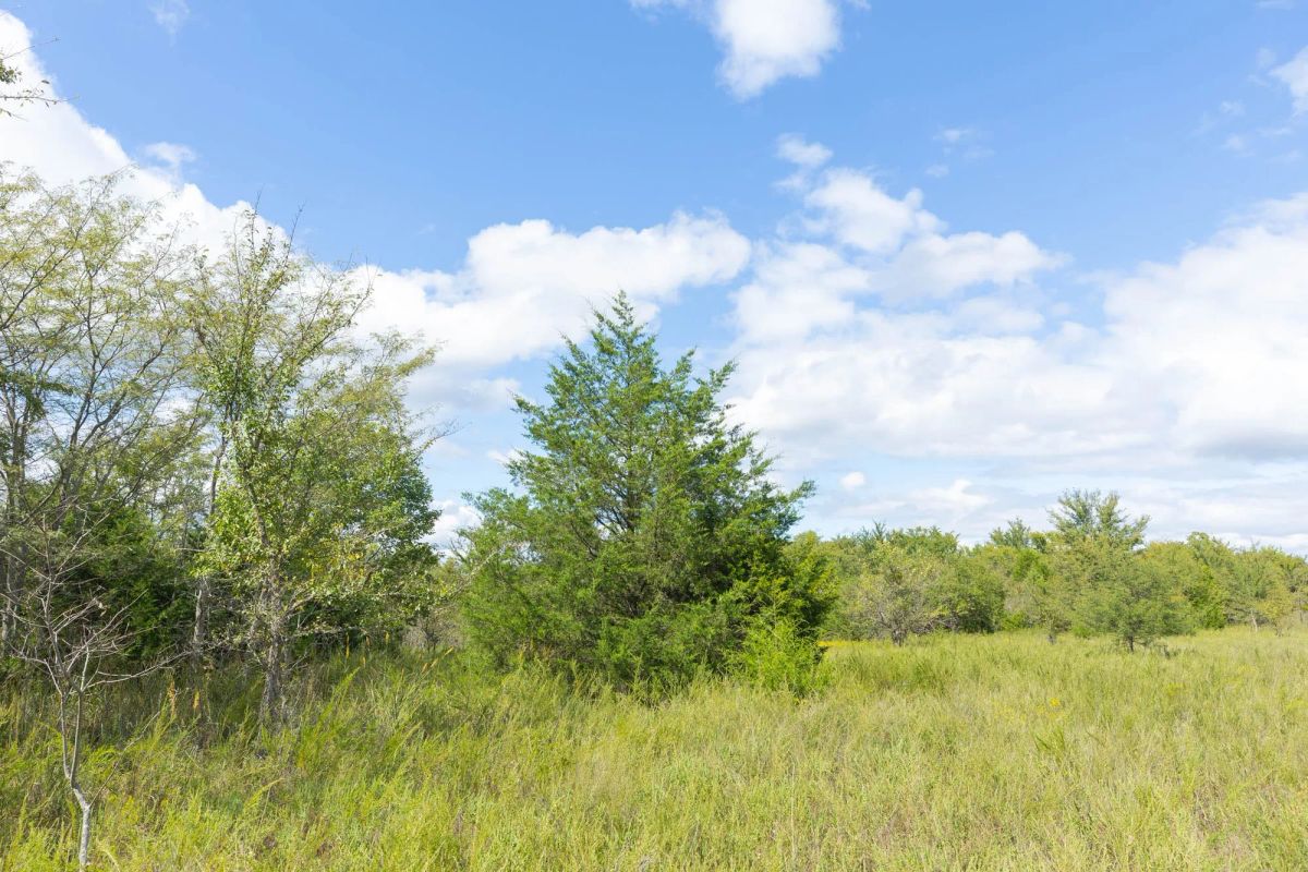 Decorative background for Reserves At Cattail Cove Phase II Tract 93 image 7