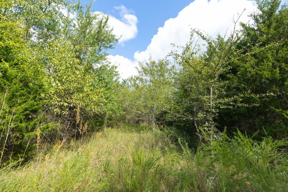 Decorative background for Reserves At Cattail Cove Phase II Tract 93 image 8