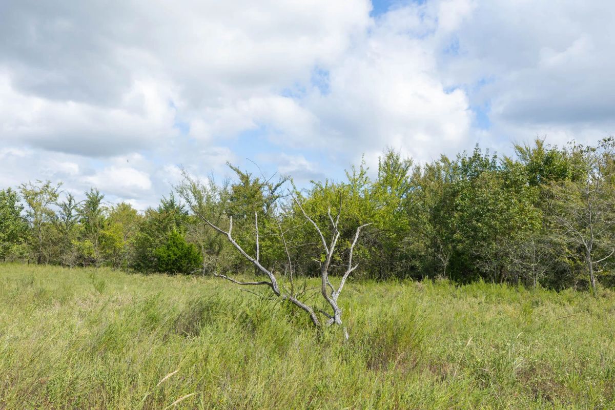 Decorative background for Reserves At Cattail Cove Phase II Tract 93 image 9